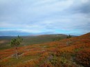 6 -3 Tunturimaisema_Fell area * 2560 x 1920 * (1.8MB)